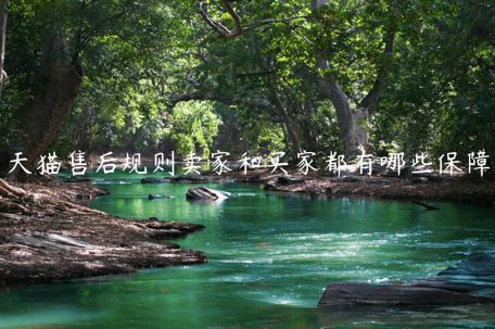 天貓售后規(guī)則賣(mài)家和買(mǎi)家都有哪些保障